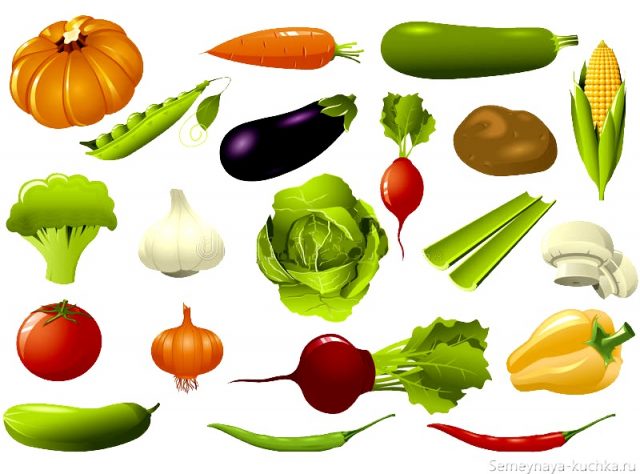 Картинка для детей овощи.