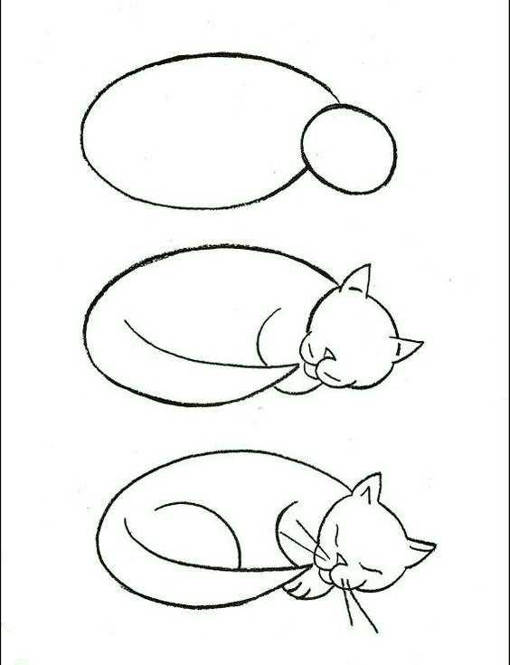 Рисунок для срисовки котик.