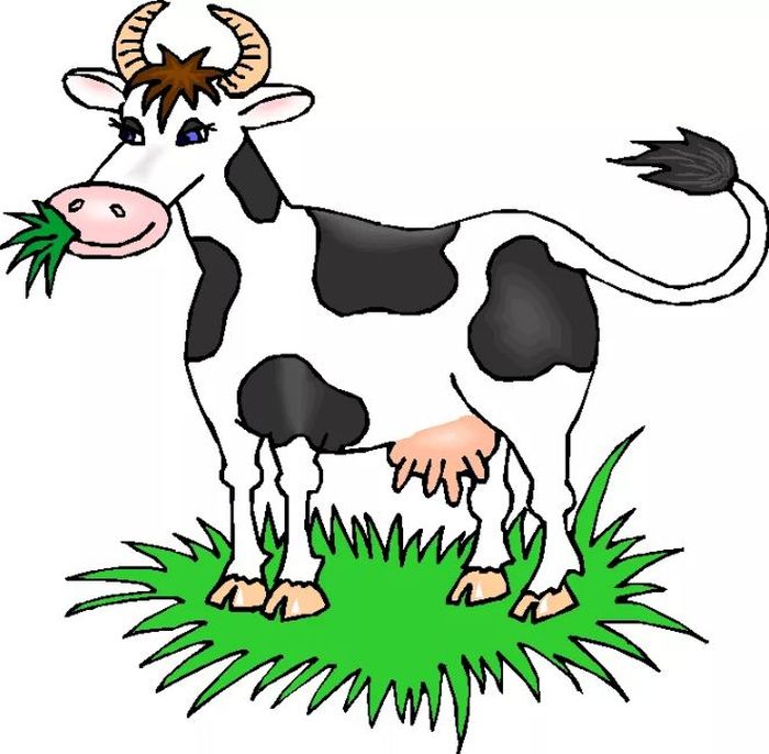 Картинка пятнистая корова с травой