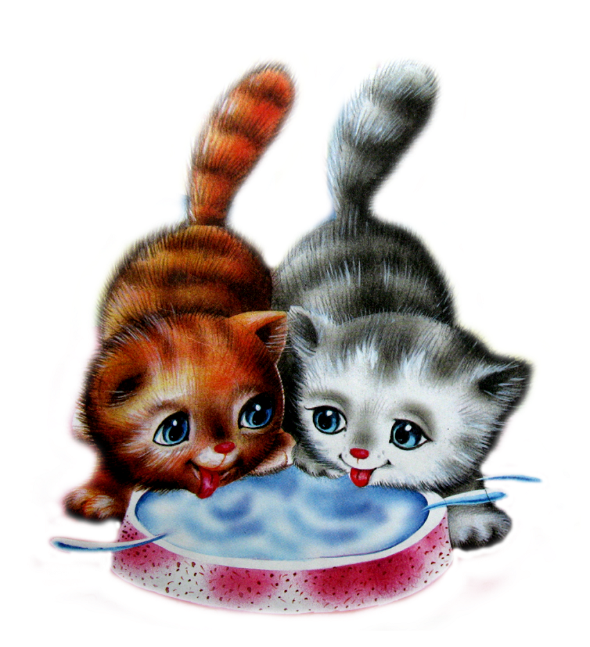 Прелестная открытка два котенка