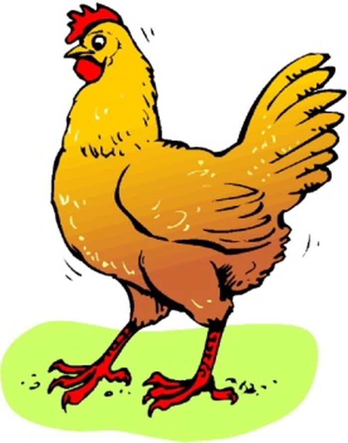 Открытка нарисованная курица