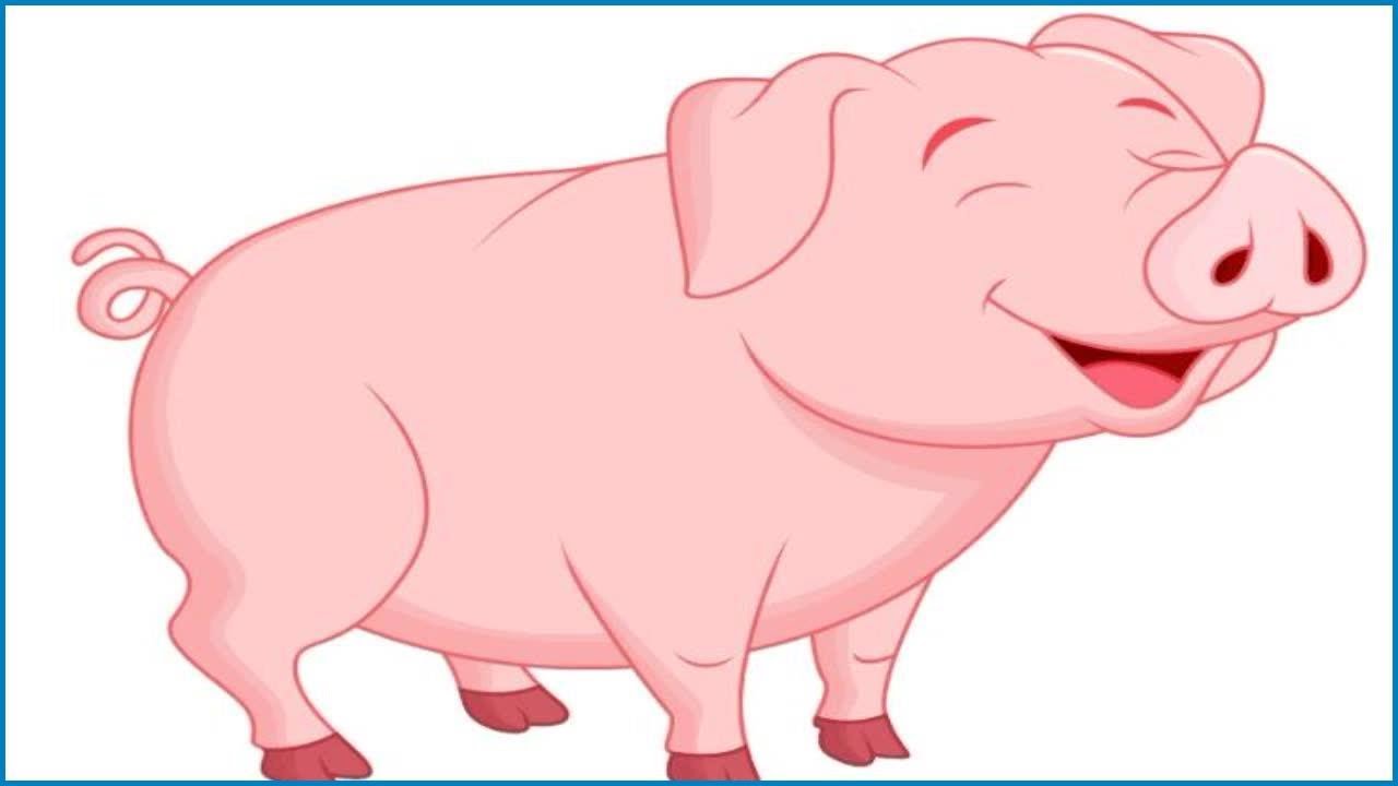 Картинка веселая свинья