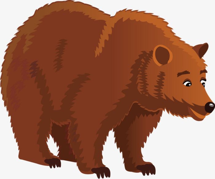 Картинка большой красивый медведь