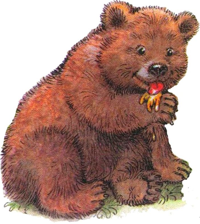 Картинка добрый медвежонок
