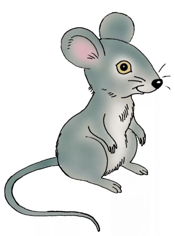 Картинка маленький мышонок