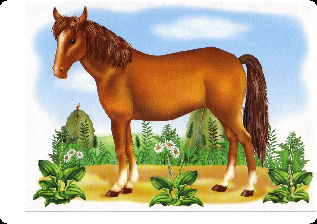 Великолепная открытка прекрасная лошадь