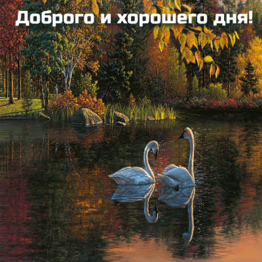 Анимационная красивая открытка доброго осеннего дня