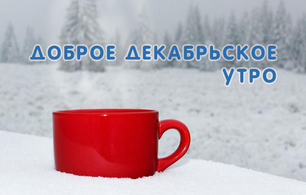 Красная чашка в снегу