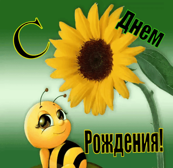 Милая пчелка и желтый цветок!