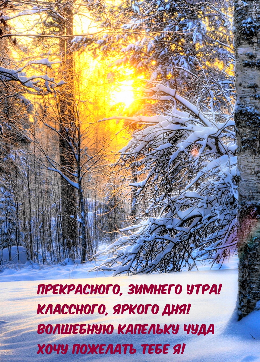Яркая открытка доброго зимнего утра