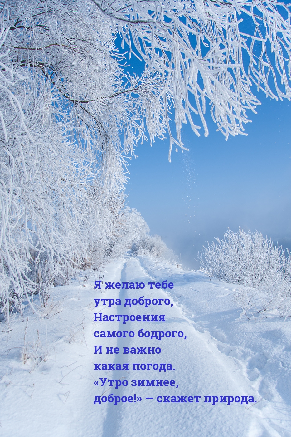 Красивая открытка с добрым зимним утром