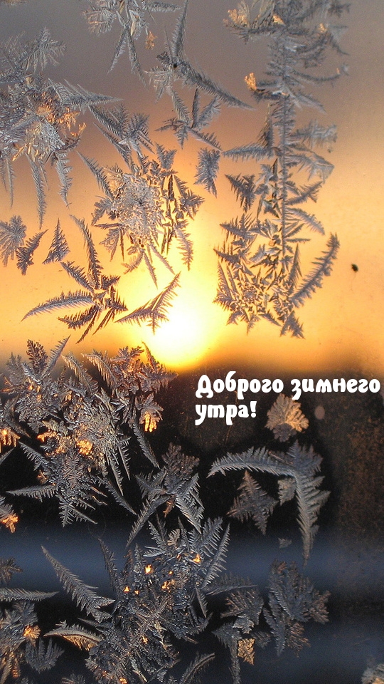 Картинка с пожеланием доброго зимнего утра