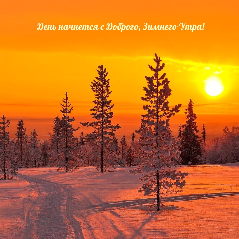 Прелестная открытка утра доброго зимой