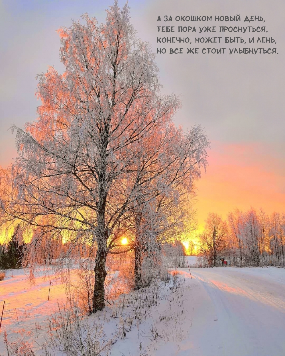 Великолепная открытка доброго утра зимнего