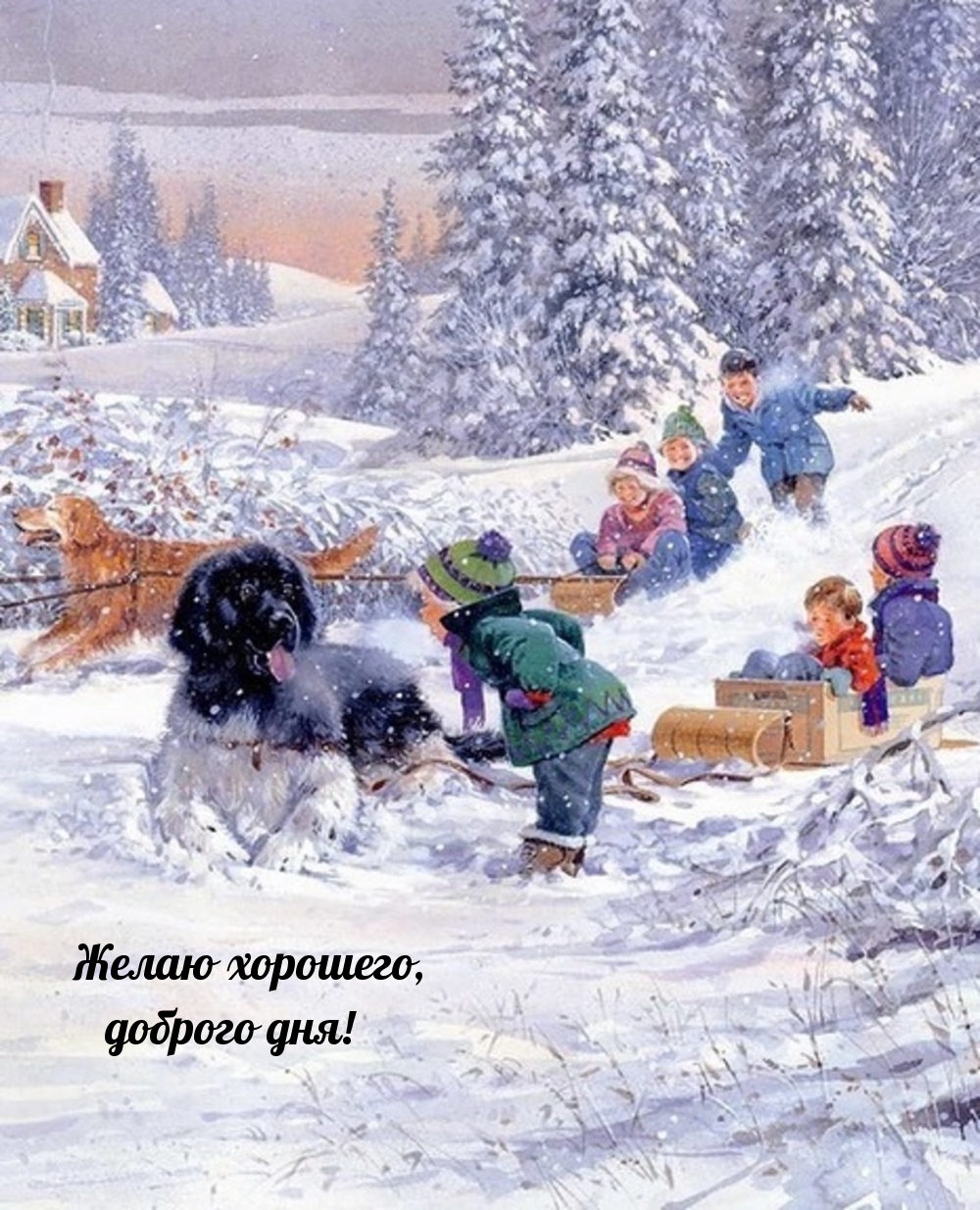 Картинка милая желаю хорошего зимнего дня
