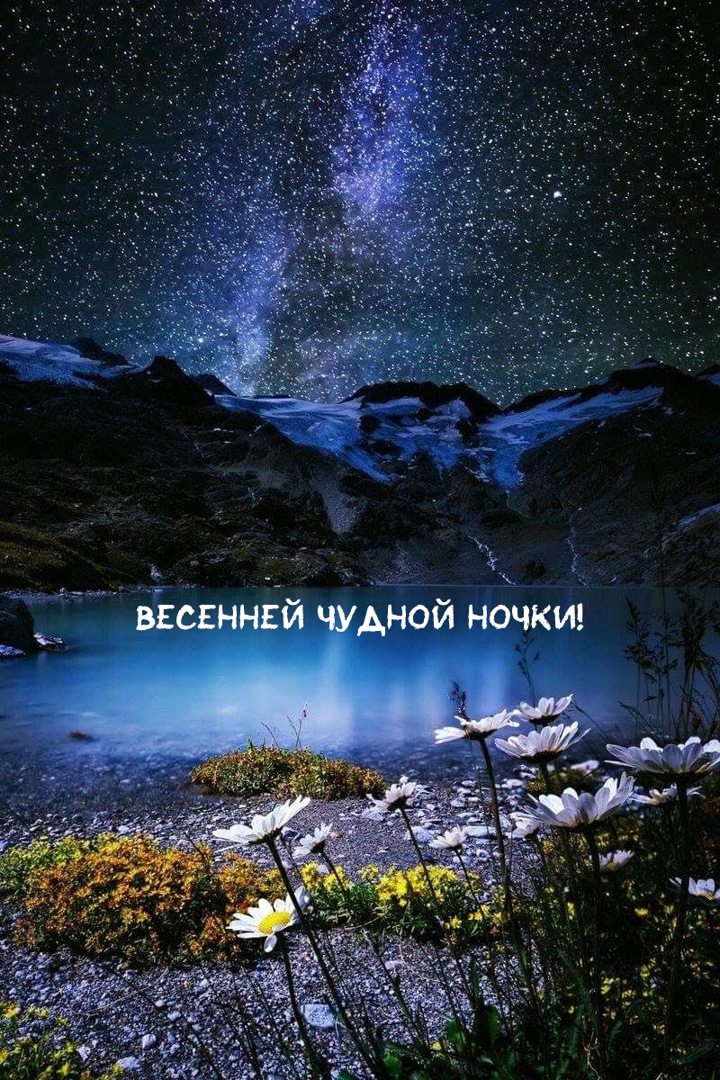 Ветренной весенней ночи!