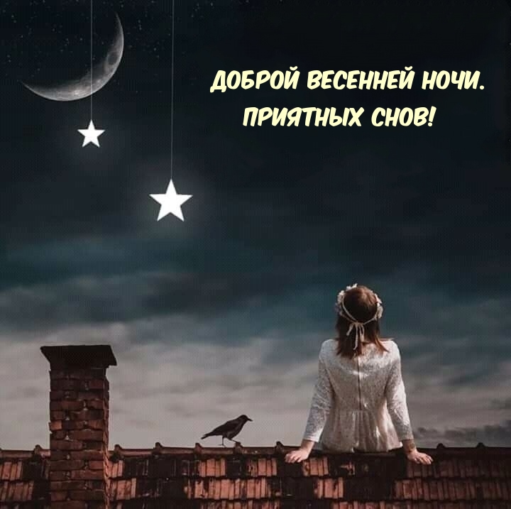 Доброй весенней ночи. Приятных снов!