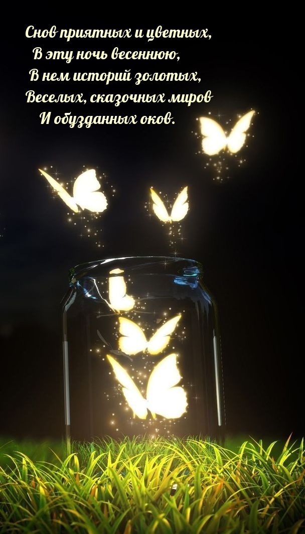 Спокойной вечерней ночи с яркими бабочками