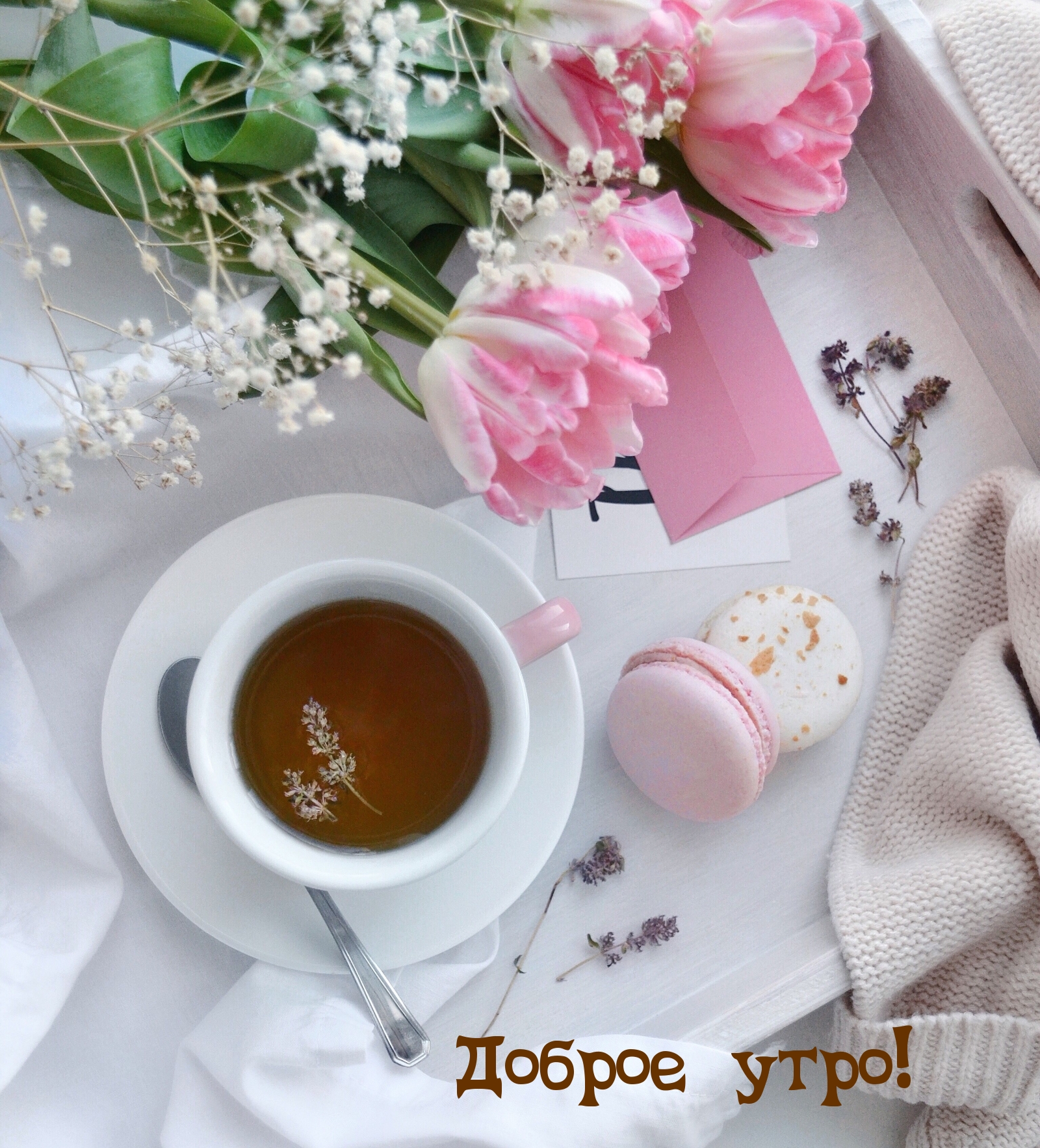 Чашка чая фото красивое с добрым утром