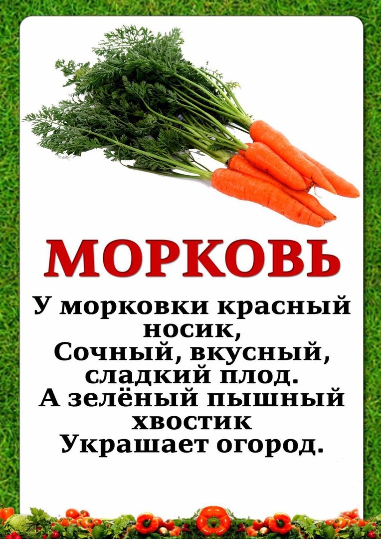 картинка морковь для детей