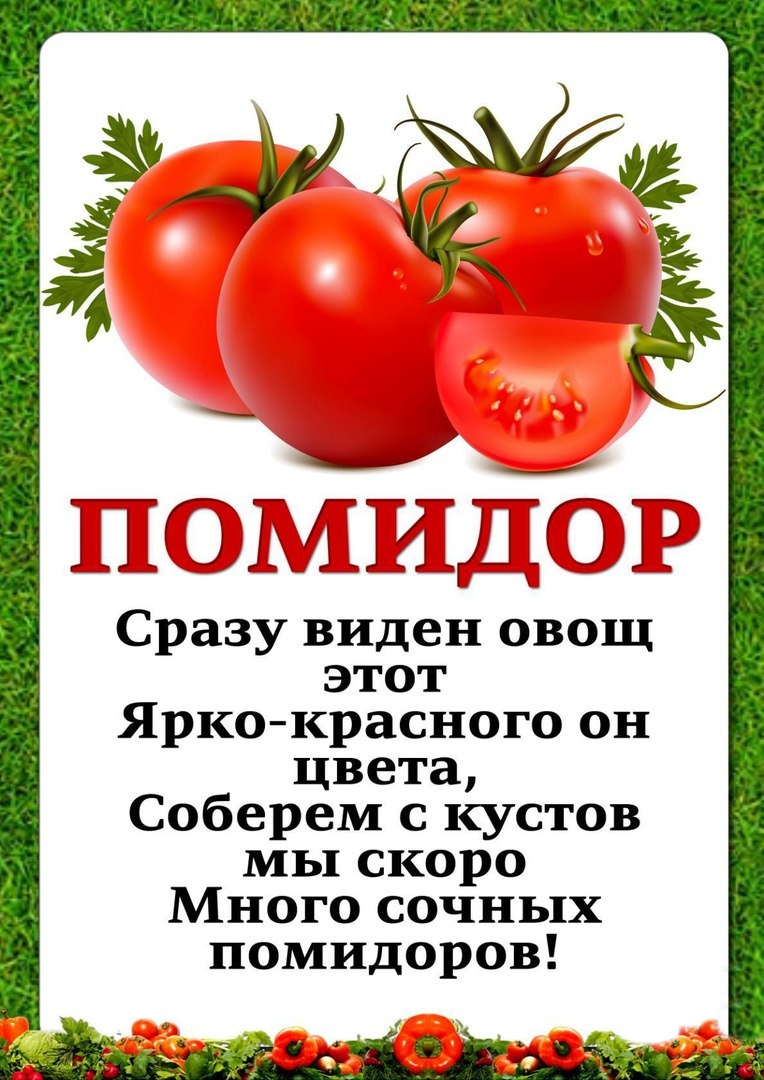 картинка помидор для детей