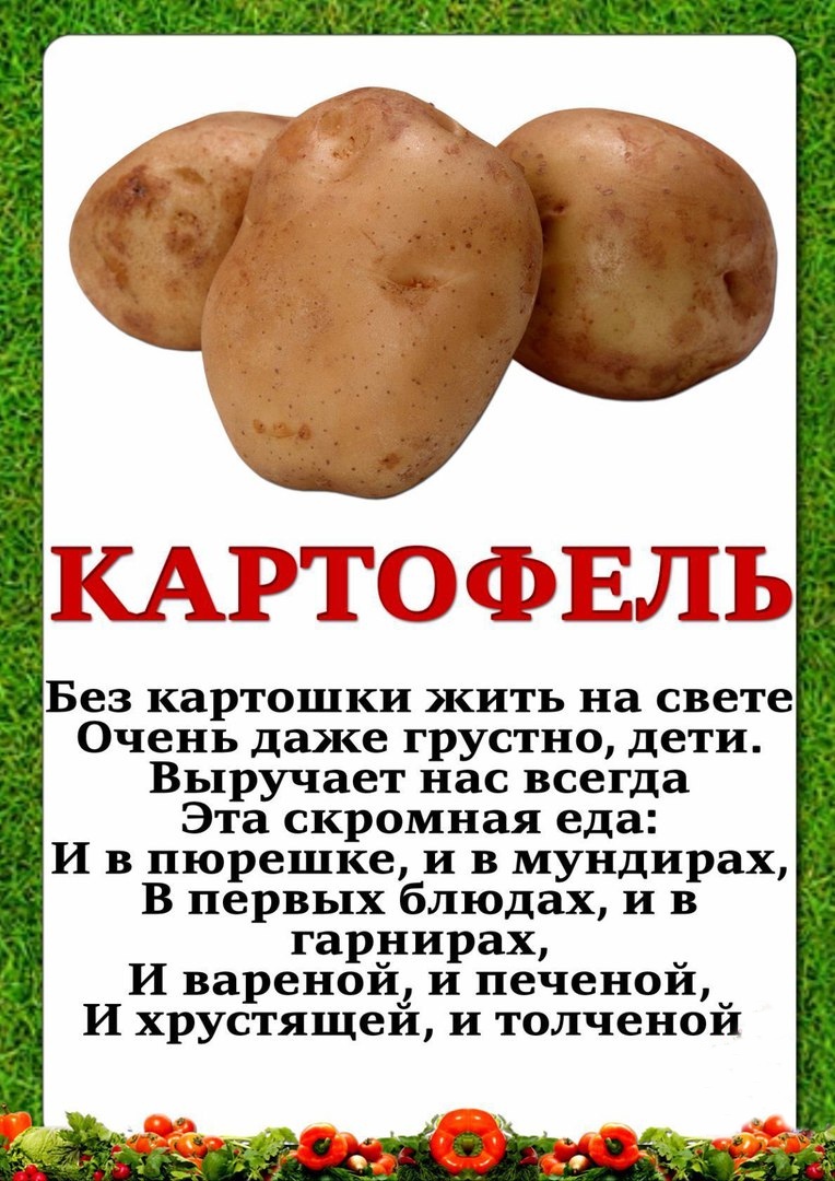 картинка картофель для детей