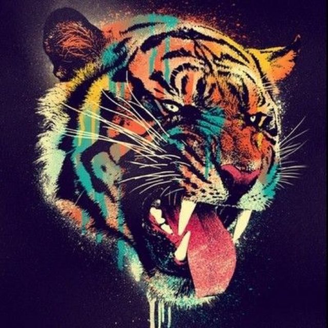 Тигр в красках.