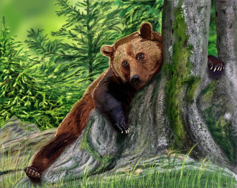 Картинка яркая чудесная медведь в лесу