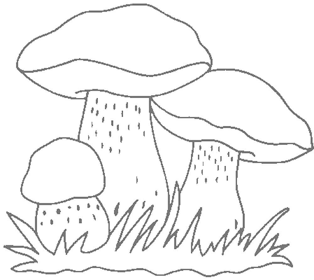 Картинка раскраска три грибочка
