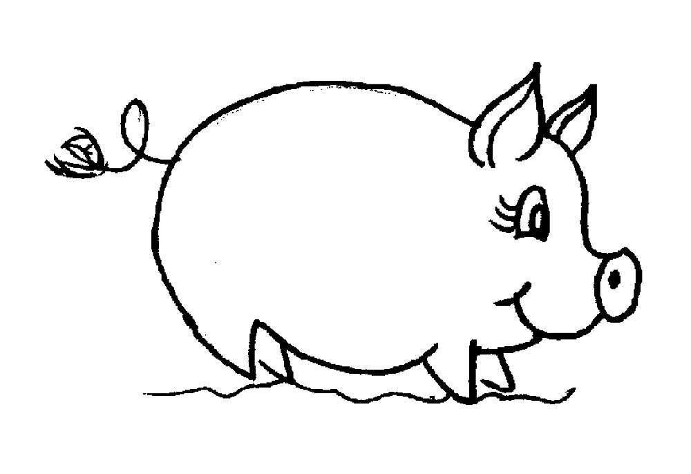 Картинка раскраска милая свинка