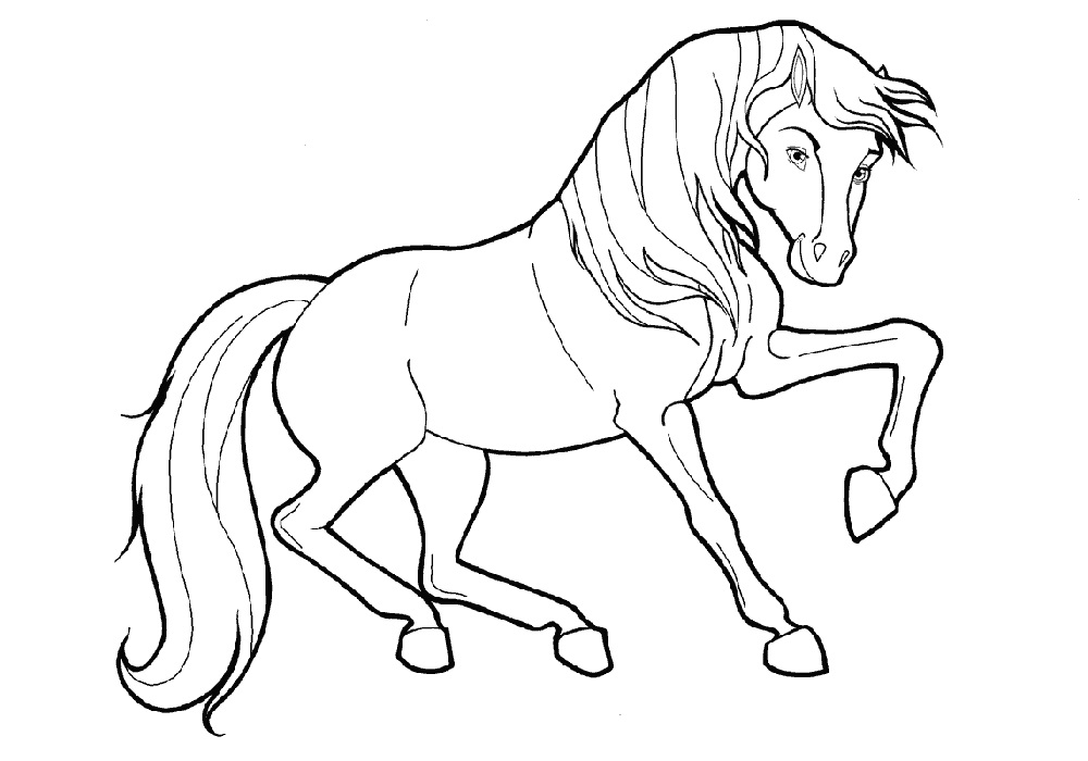 Раскраска картинка стройная лошадь