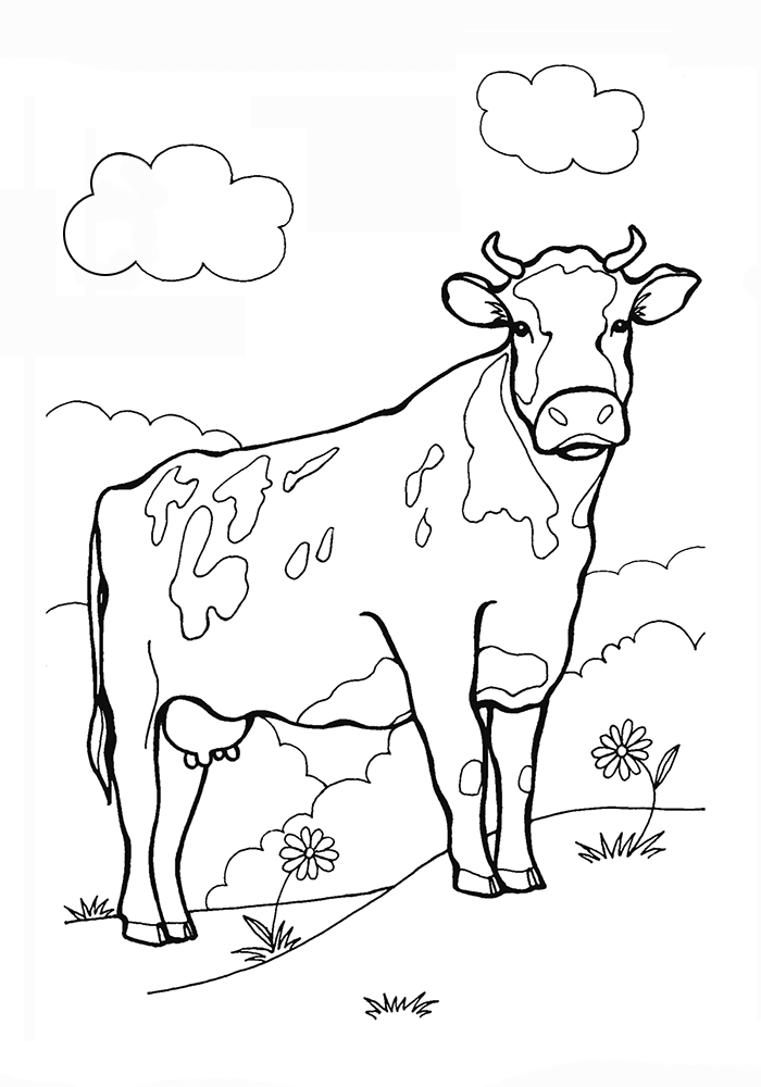 Раскраска картинка красивая корова