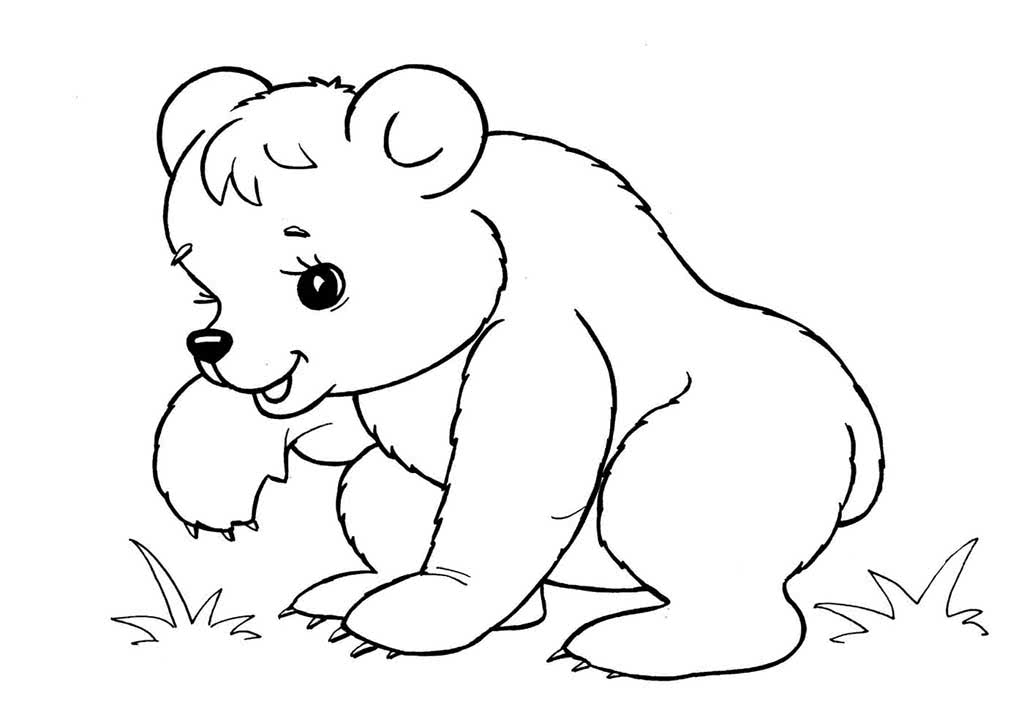 Раскраска открытка милый медвежонок