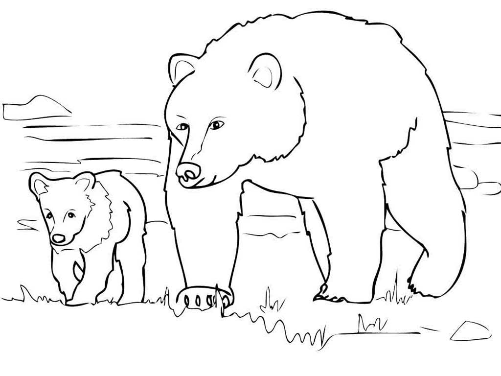 Картинка раскраска два медведя