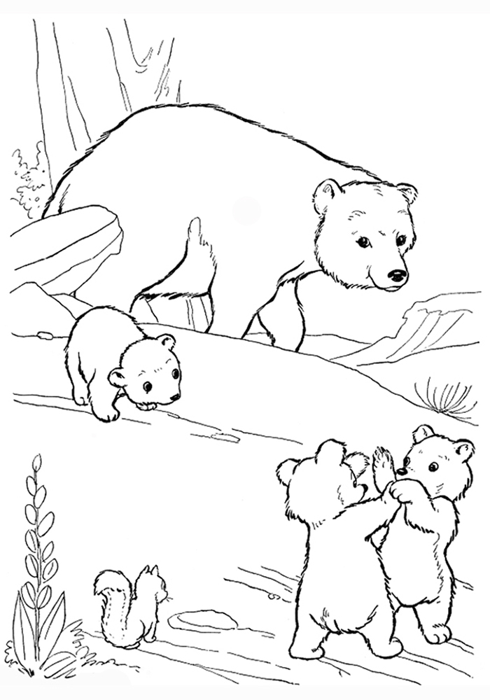 Раскарска открытка медведь с медвежатами
