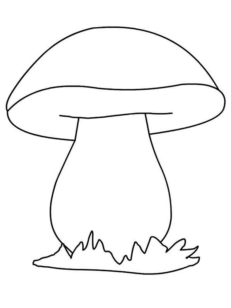 Открытка раскраска белый гриб