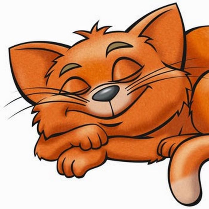 Картинка спящий рыжий кот