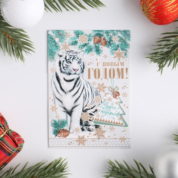 красивые открытки с тигром