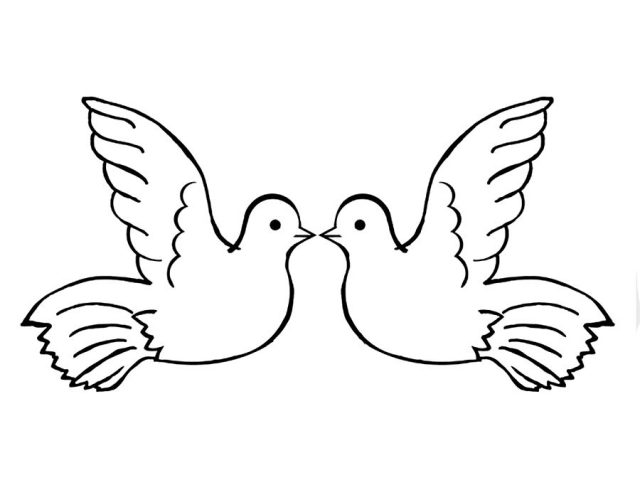 Рисунок пара голубей.