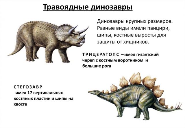 Травоядные динозавры.