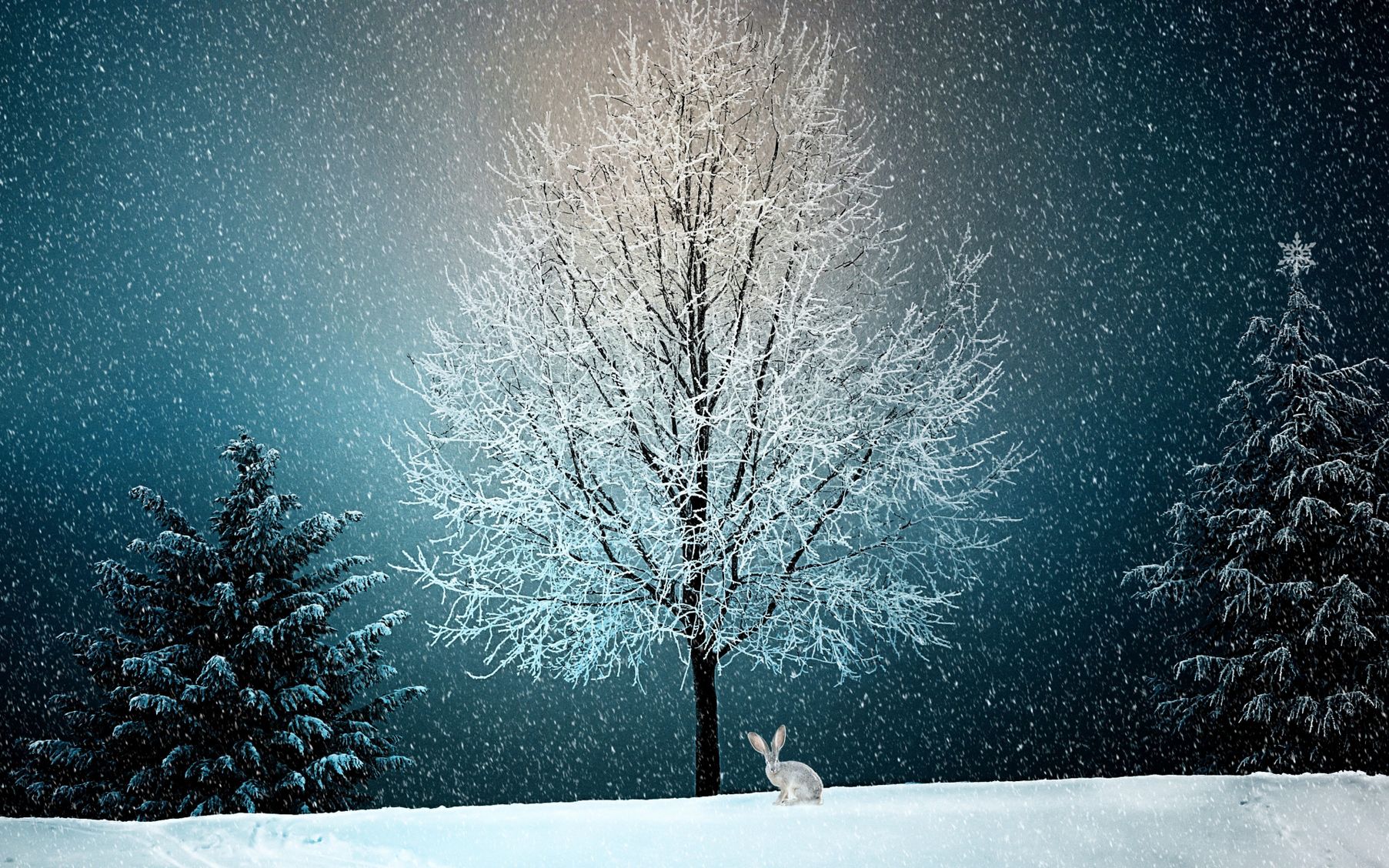 красивая зимняя картинка с снегом