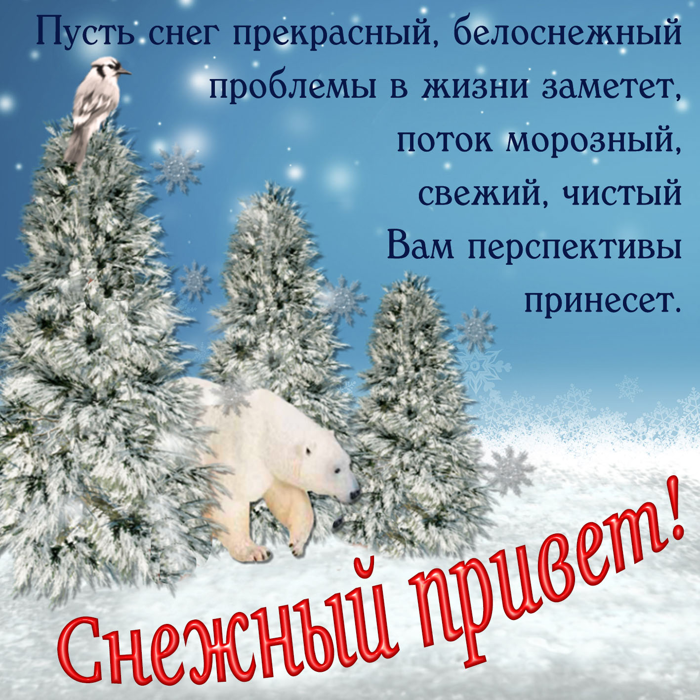 открытка с надписью снежный привет