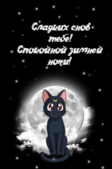Ночной серый кот
