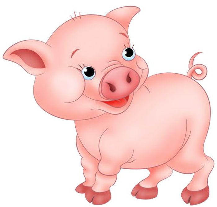 Картинка смешная свинка