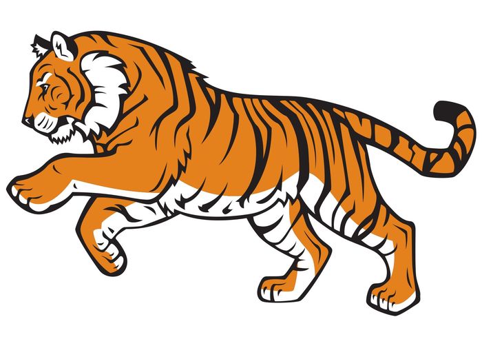 картинка тигра для детей на белом фоне