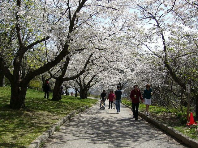 Весна, парк.