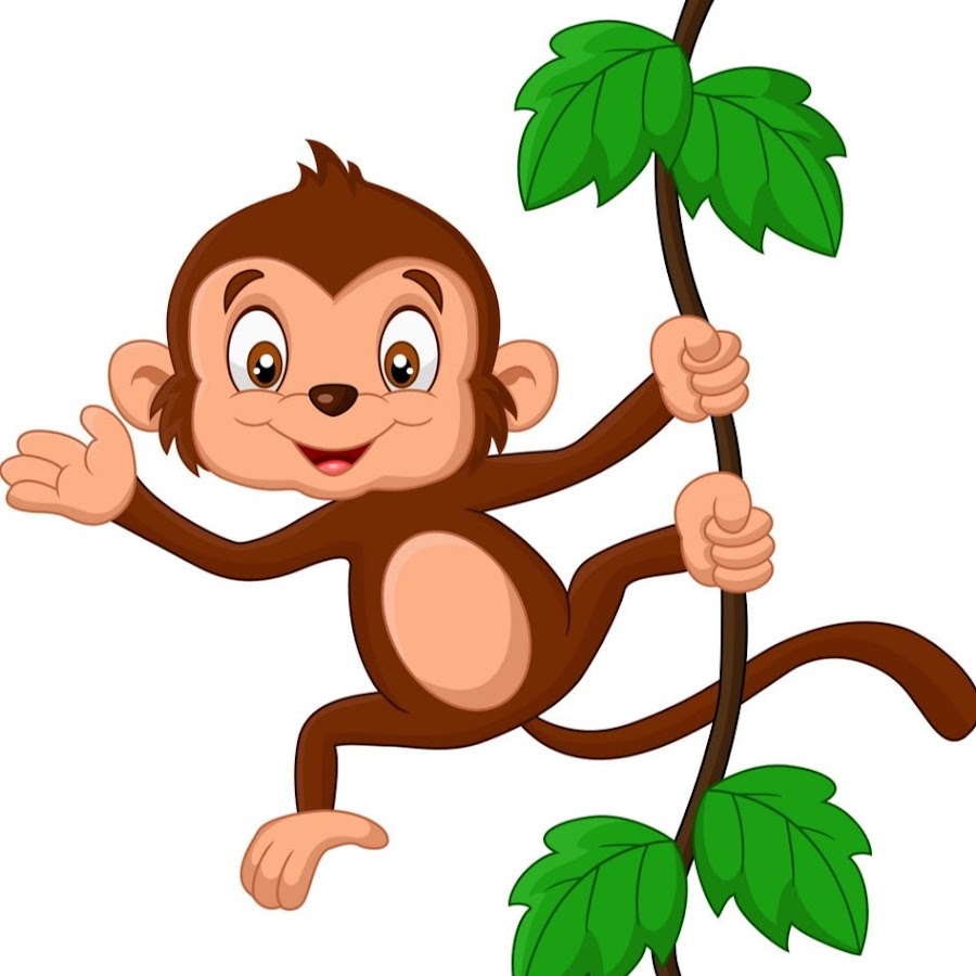 Картинка маленька обезьянка на ветке лианы