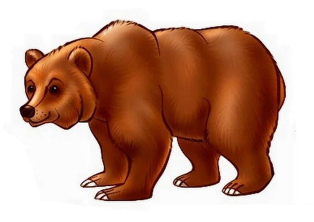 Распечатать цветную картинку медведь. Медведь для детей. Медведь для дошкольников. Звери для детей медведь. Медведь рисунок.
