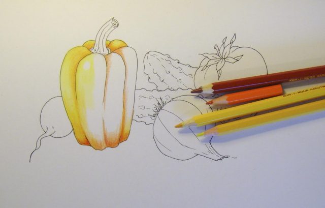 Рисунок для срисовки овощи.