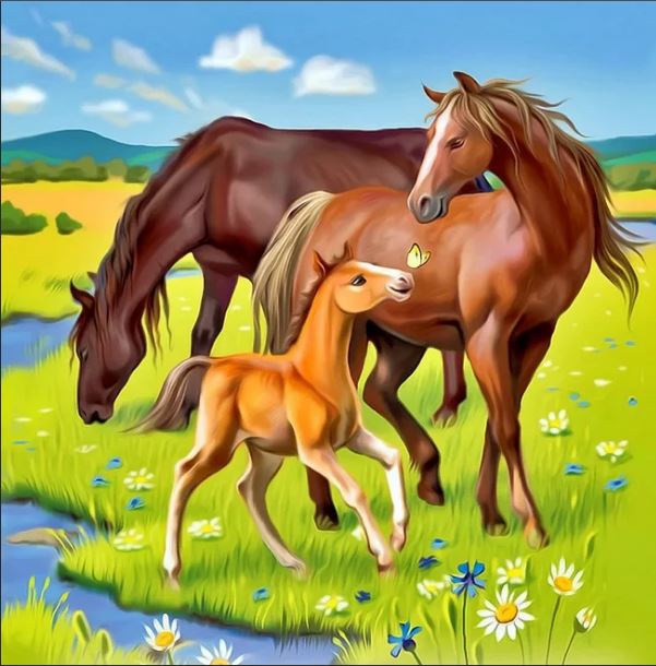 Прекрасная открытка лошади на прогулке